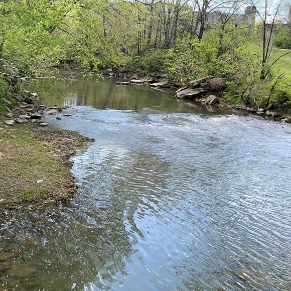 Meet your Posher, Chelsea Leigh - Picture 12 of 16